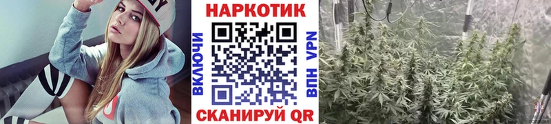 Купить закладку Псилоцибиновые грибы  АМФЕТАМИН  Гашиш  Марихуана  МЕФ  МЕТАМФЕТАМИН  Cocaine  Жуков