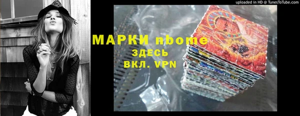 ГАЛЛЮЦИНОГЕННЫЕ ГРИБЫ Инта