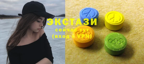 ECSTASY Инсар