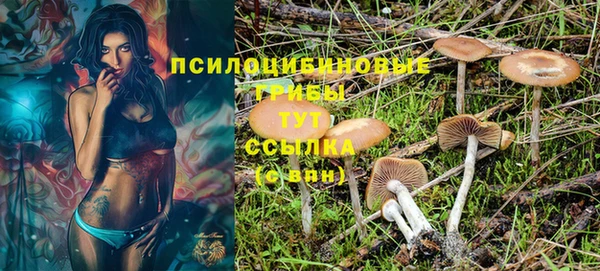 герыч Зерноград