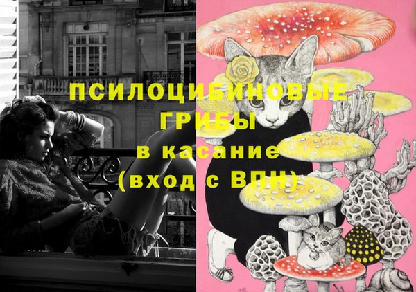 экстази Зеленодольск