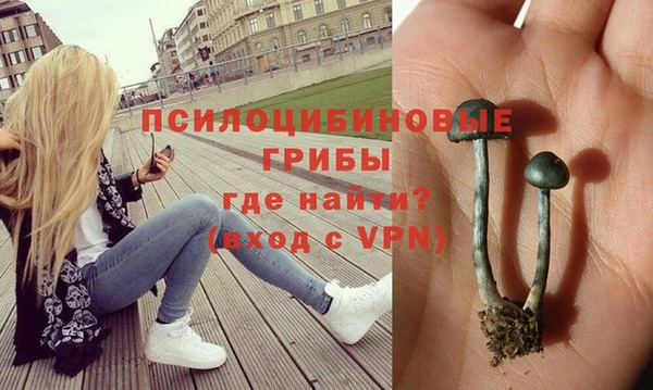 герыч Зерноград
