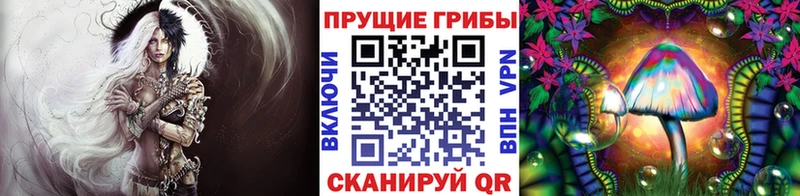 Псилоцибиновые грибы GOLDEN TEACHER  Купить где  Жуков 